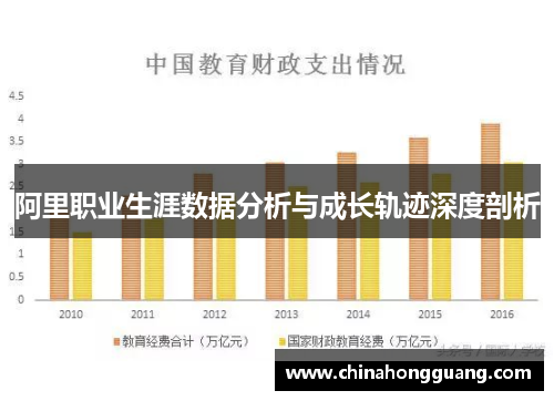 阿里职业生涯数据分析与成长轨迹深度剖析