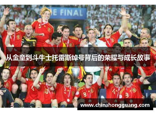 从金童到斗牛士托雷斯绰号背后的荣耀与成长故事